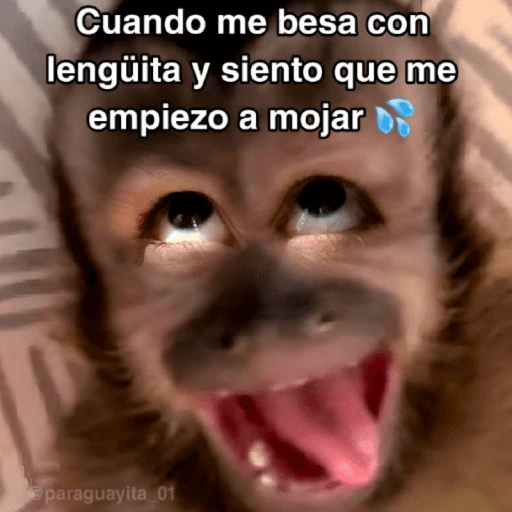 🙊😜🔥 Funny Monkey 🔥😜🙊 
