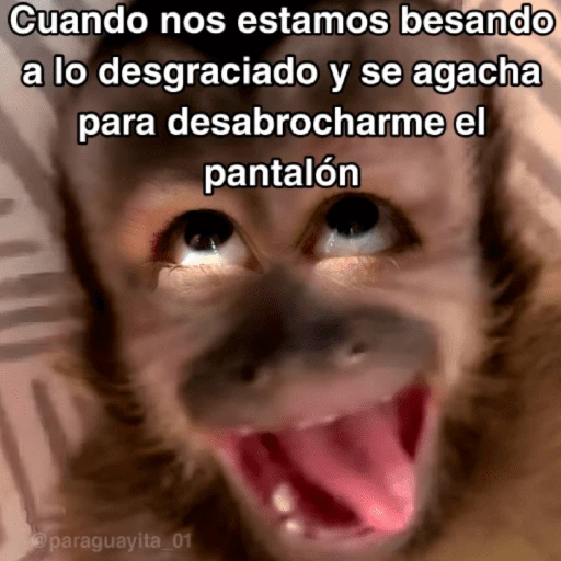 🙊😜🔥 Funny Monkey 🔥😜🙊 

