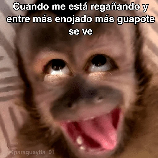 🙊😜🔥 Funny Monkey 🔥😜🙊 
