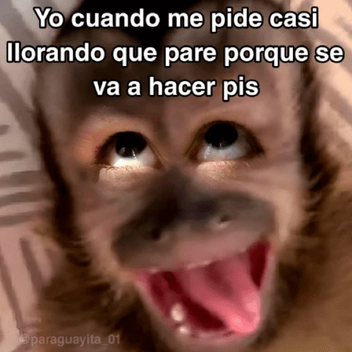 🙊😜🔥 Funny Monkey 🔥😜🙊 
