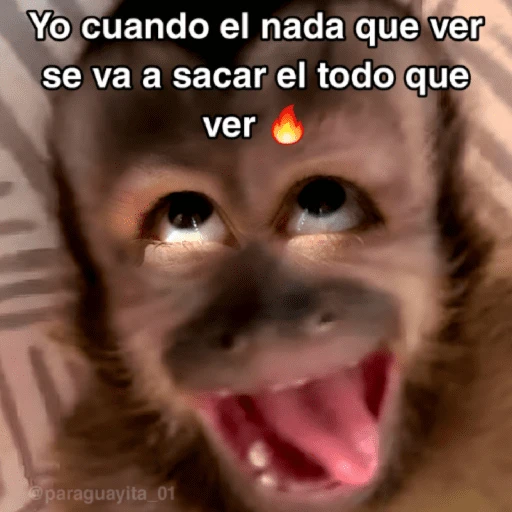 🙊😜🔥 Funny Monkey 🔥😜🙊 
