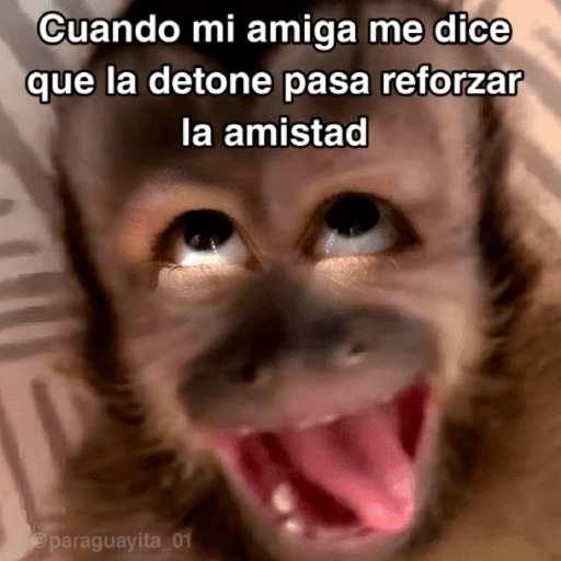 🙊😜🔥 Funny Monkey 🔥😜🙊 
 preview