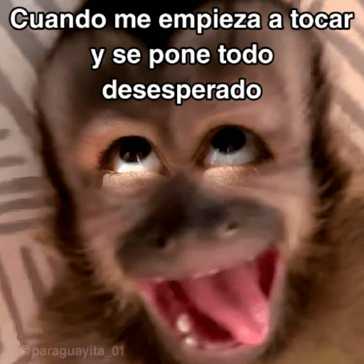 🙊😜🔥 Funny Monkey 🔥😜🙊 
