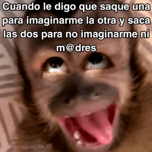 🙊😜🔥 Funny Monkey 🔥😜🙊 
