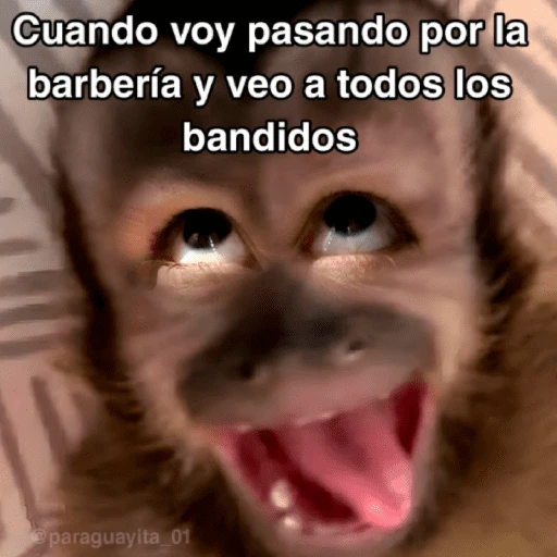 🙊😜🔥 Funny Monkey 🔥😜🙊 
