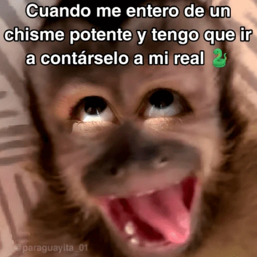 🙊😜🔥 Funny Monkey 🔥😜🙊 
