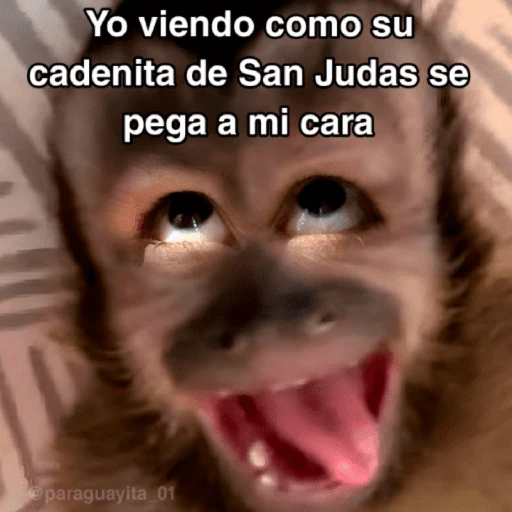 🙊😜🔥 Funny Monkey 🔥😜🙊 
