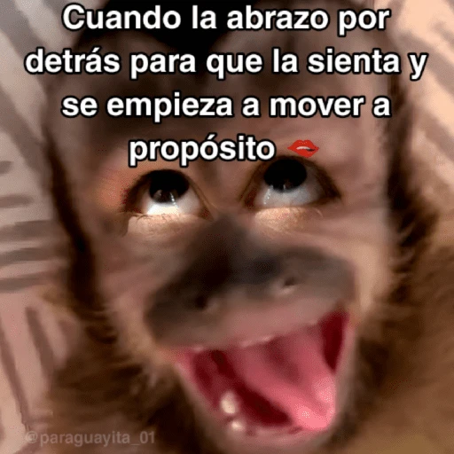 🙊😜🔥 Funny Monkey 🔥😜🙊 
