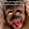 🙊😜🔥 Funny Monkey 🔥😜🙊 
