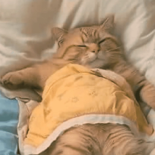 ✨⏰😴 A MIMIR 3 😴⏰✨ 
