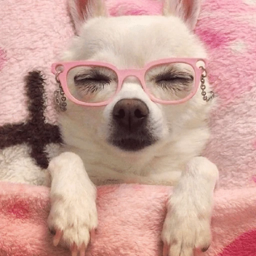 ✨⏰😴 A MIMIR 3 😴⏰✨ 
