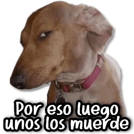 Stickers a Full #②④ 😶‍🌫️ 
