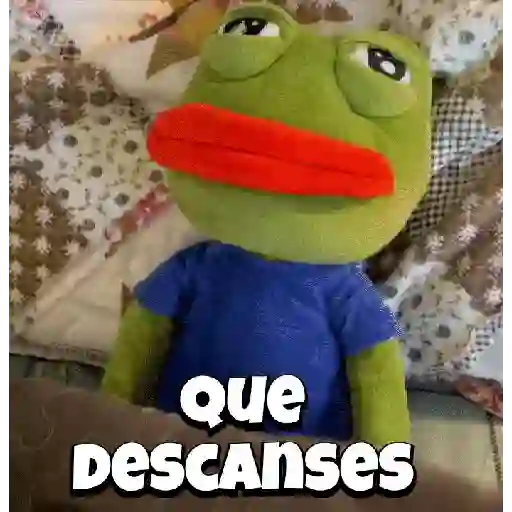 Random Pepe peluche🐸 
