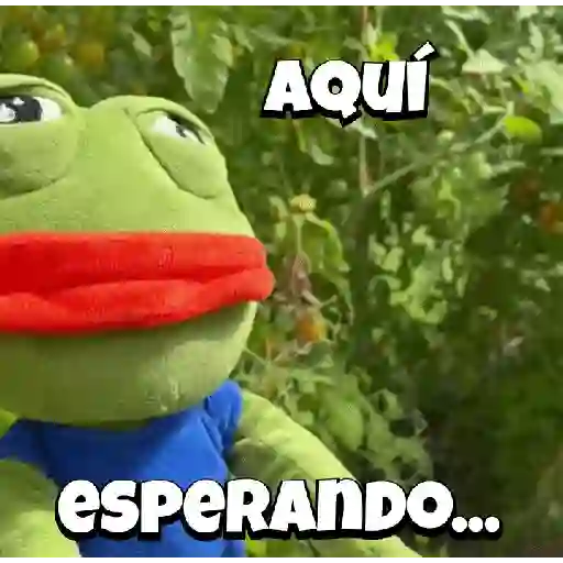 Random Pepe peluche🐸 
