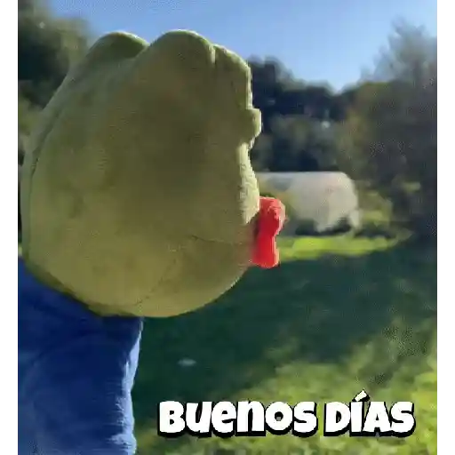 Random Pepe peluche🐸 
 preview