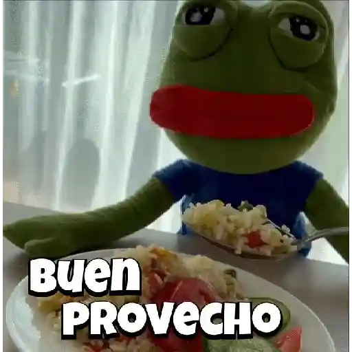 Random Pepe peluche🐸 
