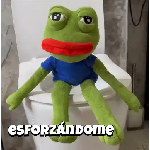 Random Pepe peluche🐸 
