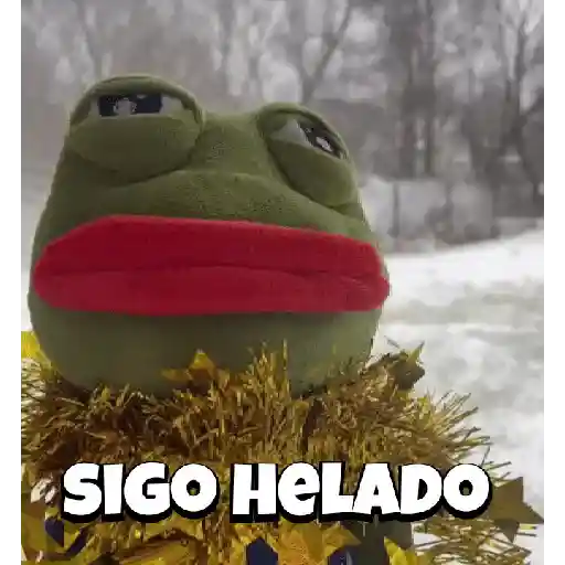 Random Pepe peluche🐸 
