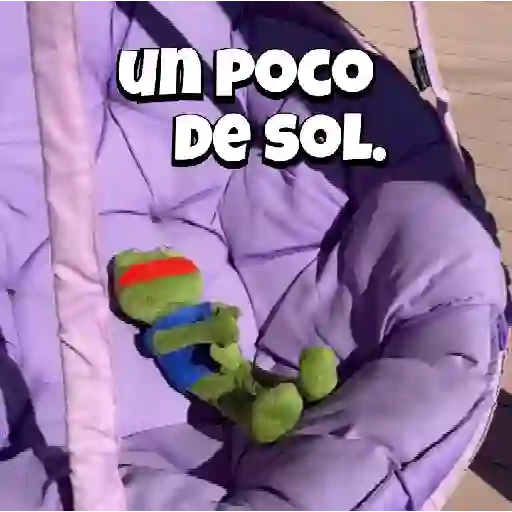 Random Pepe peluche🐸 
