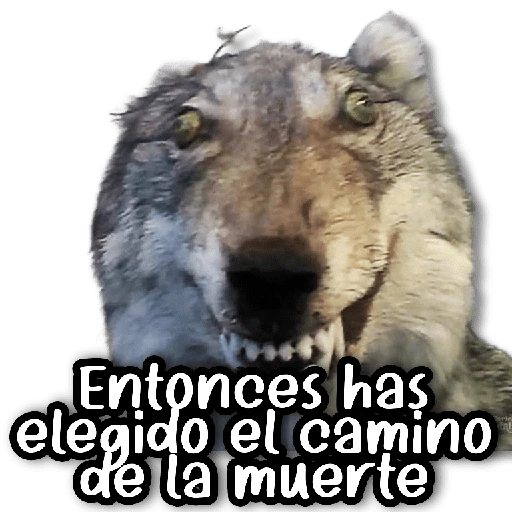 🍀 Stickers a Full #①⑧ 🍀 
