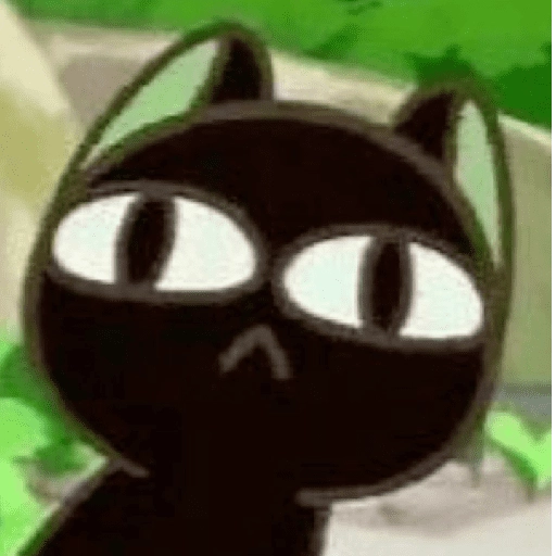 🌈🐈‍⬛✨️Gatito Negro Mood✨️🐈‍⬛🌈 
