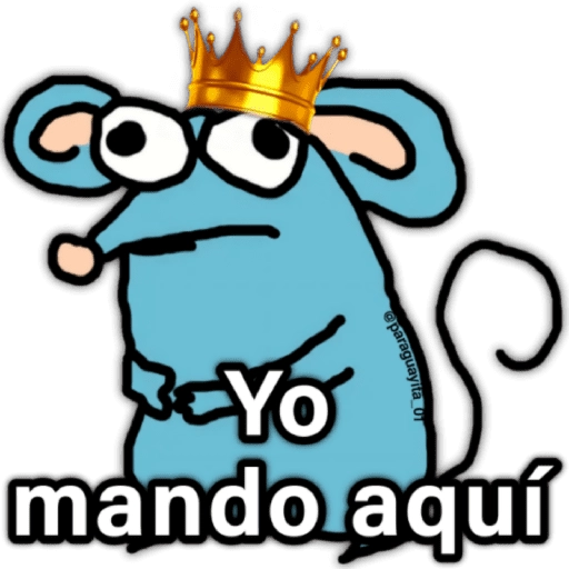 🐭 Pedacito de Queso 🧀 
 preview