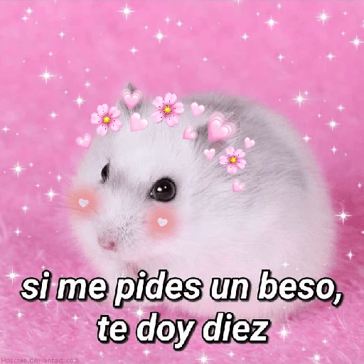 Se siente el airecito de amor💕 

