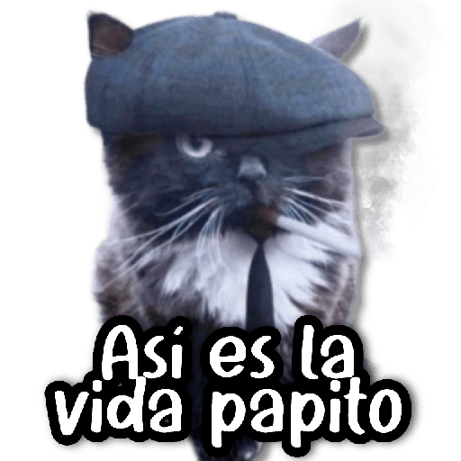 🗨️ Stickers a Full #②① 🗨️ 
