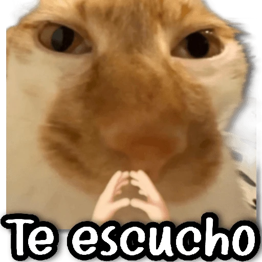 🗨️ Stickers a Full #②① 🗨️ 

