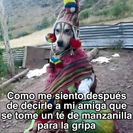 🍃🐶🧿 Perro Chamán 🧿🐶🍃 
