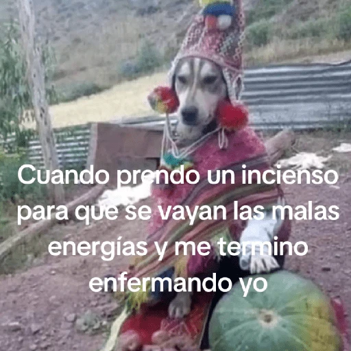 🍃🐶🧿 Perro Chamán 🧿🐶🍃 
