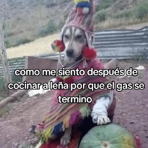 🍃🐶🧿 Perro Chamán 🧿🐶🍃 
