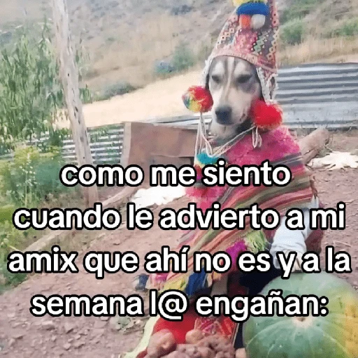 🍃🐶🧿 Perro Chamán 🧿🐶🍃 
