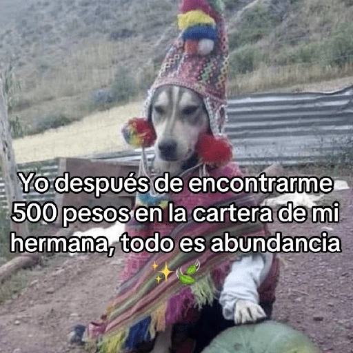 🍃🐶🧿 Perro Chamán 🧿🐶🍃 

