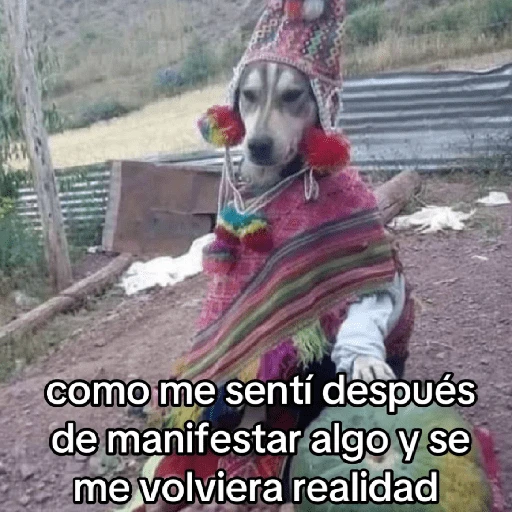 🍃🐶🧿 Perro Chamán 🧿🐶🍃 
