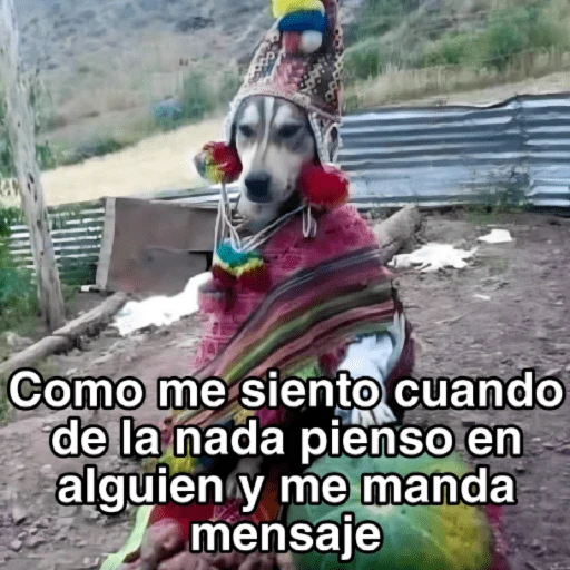 🍃🐶🧿 Perro Chamán 🧿🐶🍃 
