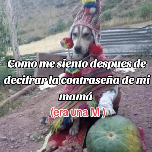 🍃🐶🧿 Perro Chamán 🧿🐶🍃 
