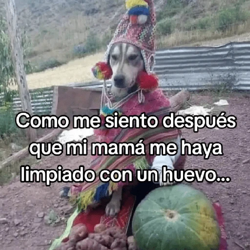 🍃🐶🧿 Perro Chamán 🧿🐶🍃 
