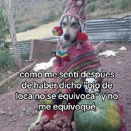 🍃🐶🧿 Perro Chamán 🧿🐶🍃 
