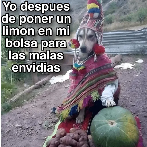 🍃🐶🧿 Perro Chamán 🧿🐶🍃 
