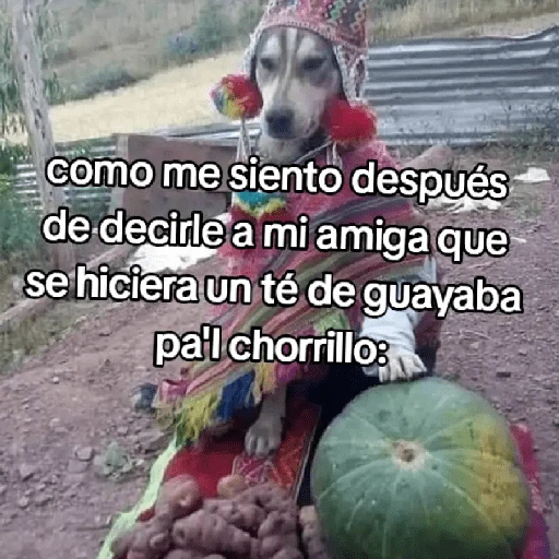 🍃🐶🧿 Perro Chamán 🧿🐶🍃 
