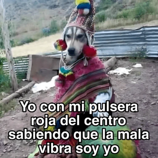 🍃🐶🧿 Perro Chamán 🧿🐶🍃 
