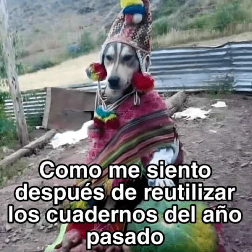 🍃🐶🧿 Perro Chamán 🧿🐶🍃 

