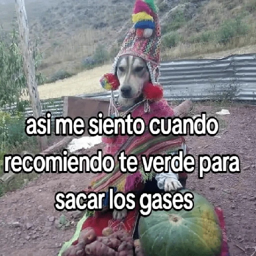 🍃🐶🧿 Perro Chamán 🧿🐶🍃 
