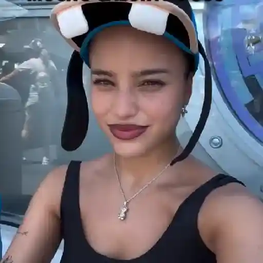 🩷✶ ׂ Emilia Mernes ִ © Soẜı