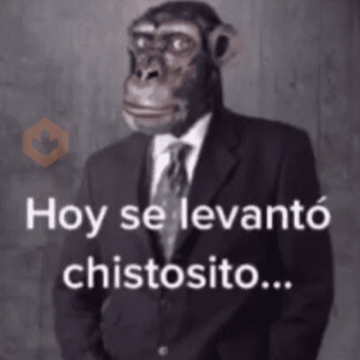 Stickers pal grupo🫂😂 sticker 14