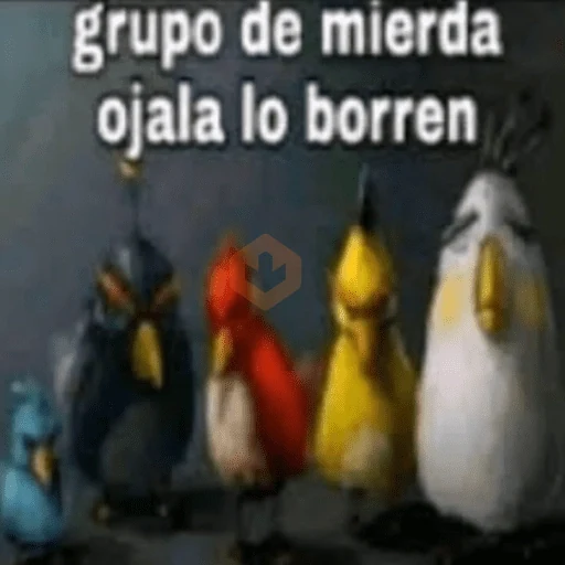 Stickers pal grupo🫂😂 sticker 13
