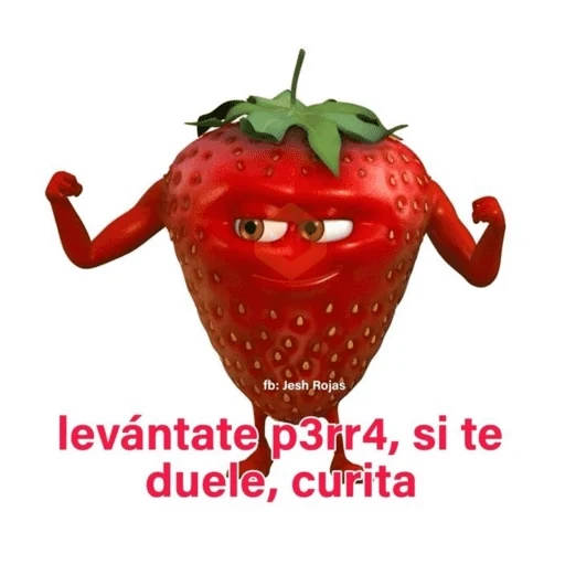 Stickers pal grupo🫂😂 sticker 11
