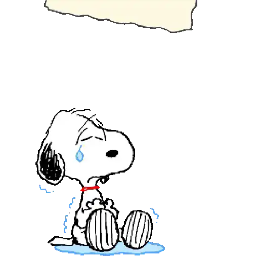 Perdón... 🙏🥺 
