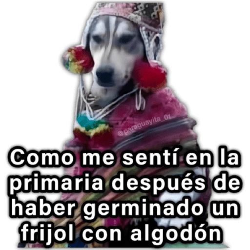 🍃🐶Perro Chamán 2 | Pachamama🐶🍃 
 preview